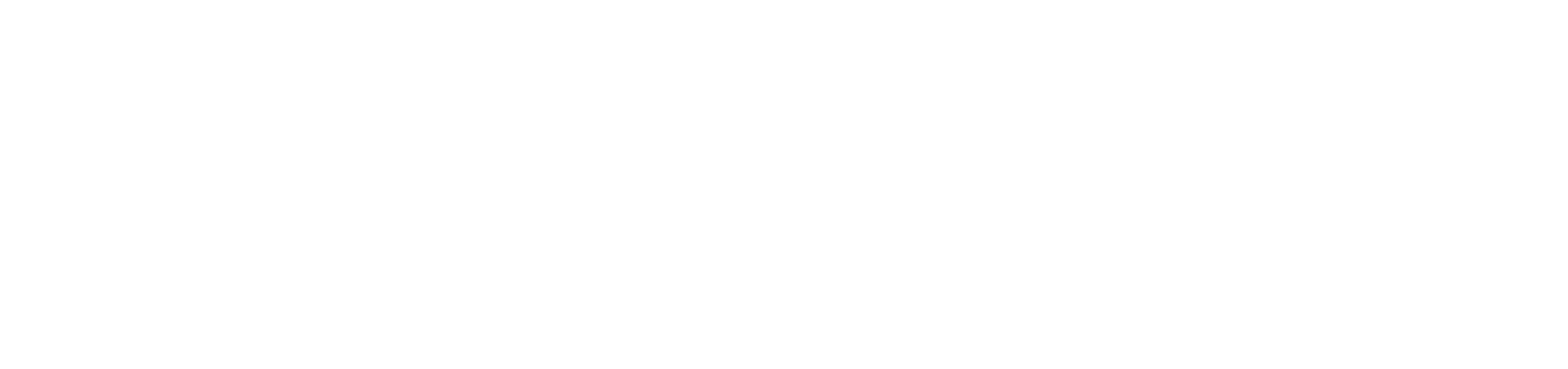 Kontolink logo hvid png